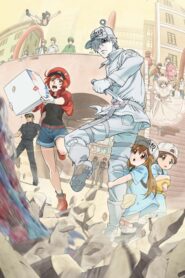 Hataraku Saibou เซลล์ขยัน พันธุ์เดือด ภาค1 ตอนที่ 1-13+OVA ซับไทย