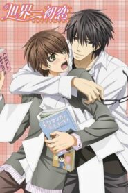 Sekaiichi Hatsukoi พิมพ์หัวใจใส่รัก (ภาค1) ตอนที่ 1-12+OVA ซับไทย