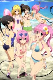 To Love Ru ทูเลิฟรู ภาค1 ตอนที่1-26+OVA พากย์ไทย