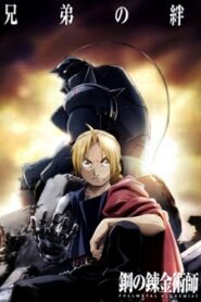 Fullmetal Alchemist: Brotherhood แขนกลคนแปรธาตุ