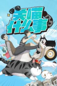 Guan Miao Shenmeshi (My Cat Hates Me) แก๊งสี่ขากับนายมังงะ ตอนที่ 1-13 ซับไทย