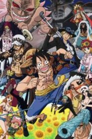 One Piece วันพีช ซีซั่น 17 เดรสโรซ่า