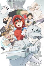 Hataraku Saibou 2 เซลล์ขยัน พันธุ์เดือด ภาค 2 ตอนที่ 1-8 ซับไทย