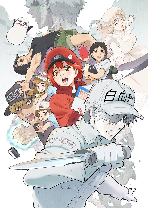 Hataraku Saibou 2 เซลล์ขยัน พันธุ์เดือด ภาค 2 ตอนที่ 1-8 ซับไทย