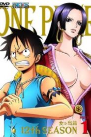 One Piece วันพีช ซีซั่น 12 อเมซอลไอส์แลนด์