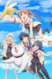 Aho Girl ยัยโง่บริสุทธิ์ ตอนที่ 1-12 ซับไทย