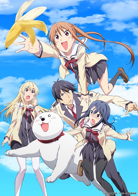 Aho Girl ยัยโง่บริสุทธิ์ ตอนที่ 1-12 ซับไทย