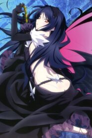 Accel World แอคเซลเวิร์ลด์ 1-24 พากย์ไทย