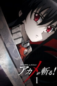 Akame ga Kill อาคาเมะ สวยสังหาร