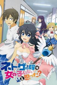 Netoge no Yome wa Onnanoko ja Nai to Omotta ตอนที่ 1-12 ซับไทย