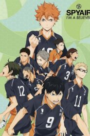 Haikyuu ไฮคิว คู่ตบฟ้าประทาน ภาค 1 ตอนที่ 1-25 ซับไทย