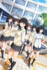 Amagami SS Plus อุบัติรักวันคริสต์มาส ภาค2