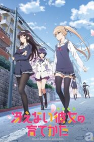 Saenai Heroine no Sodatekata